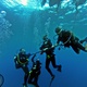 Local Dive is your chance to scuba dive in the mysterious waters of Tarragona, around the Port of Torredembarra, where our international SSI scuba diving center and school is found.

To take part in this activity yo...